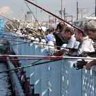 Angler auf der Galata-Brücke