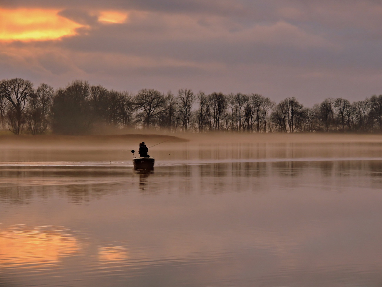 Angler