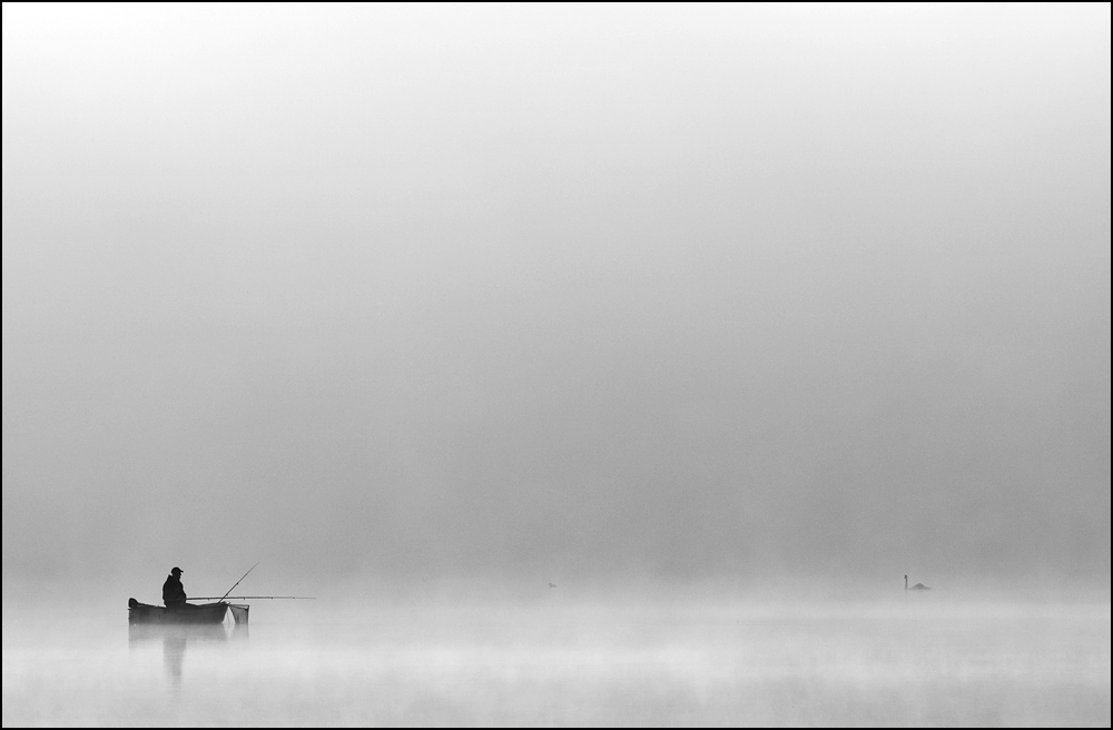 Angler, Ente und Schwan :)