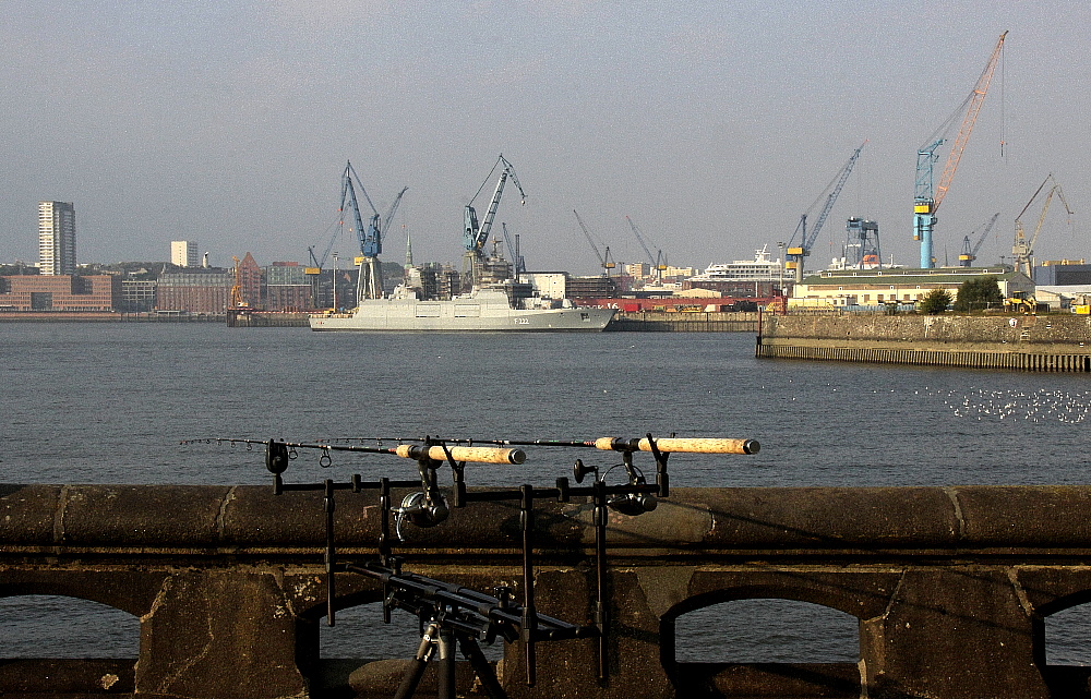 Angler-Glück im Hamburger Hafen