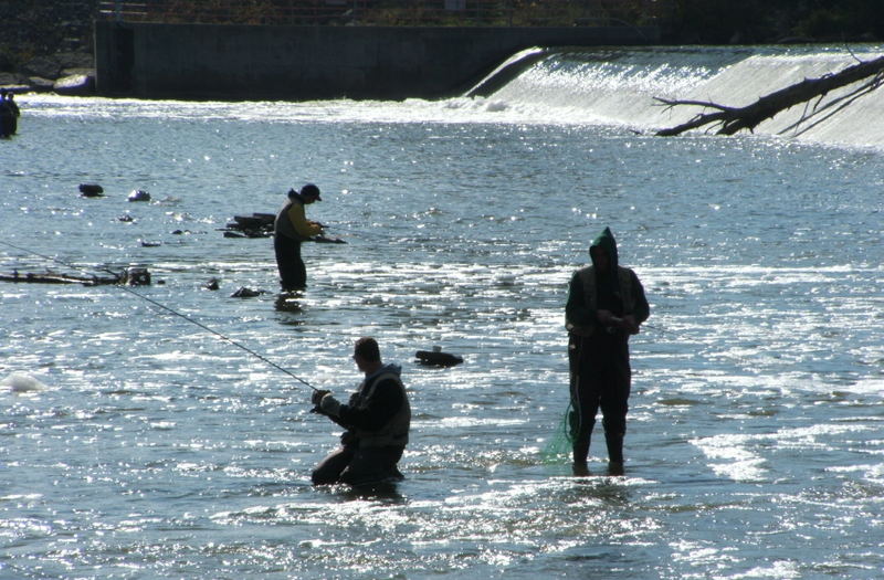 Angler im Grand River