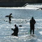 Angler im Grand River