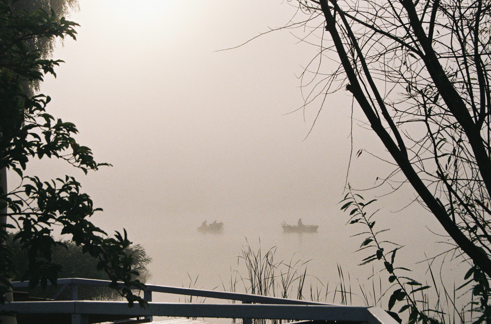 Angler im Nebel