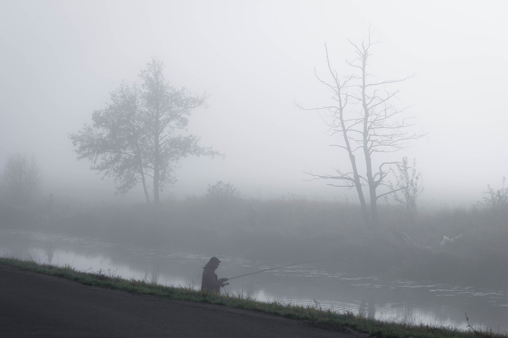 Angler im Nebel II
