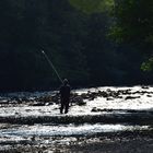 Angler in der Sioule