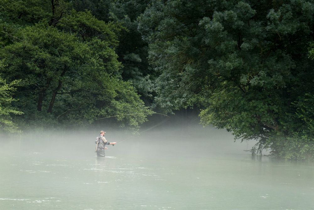 Angler in der Sorgue, 03.06.2018