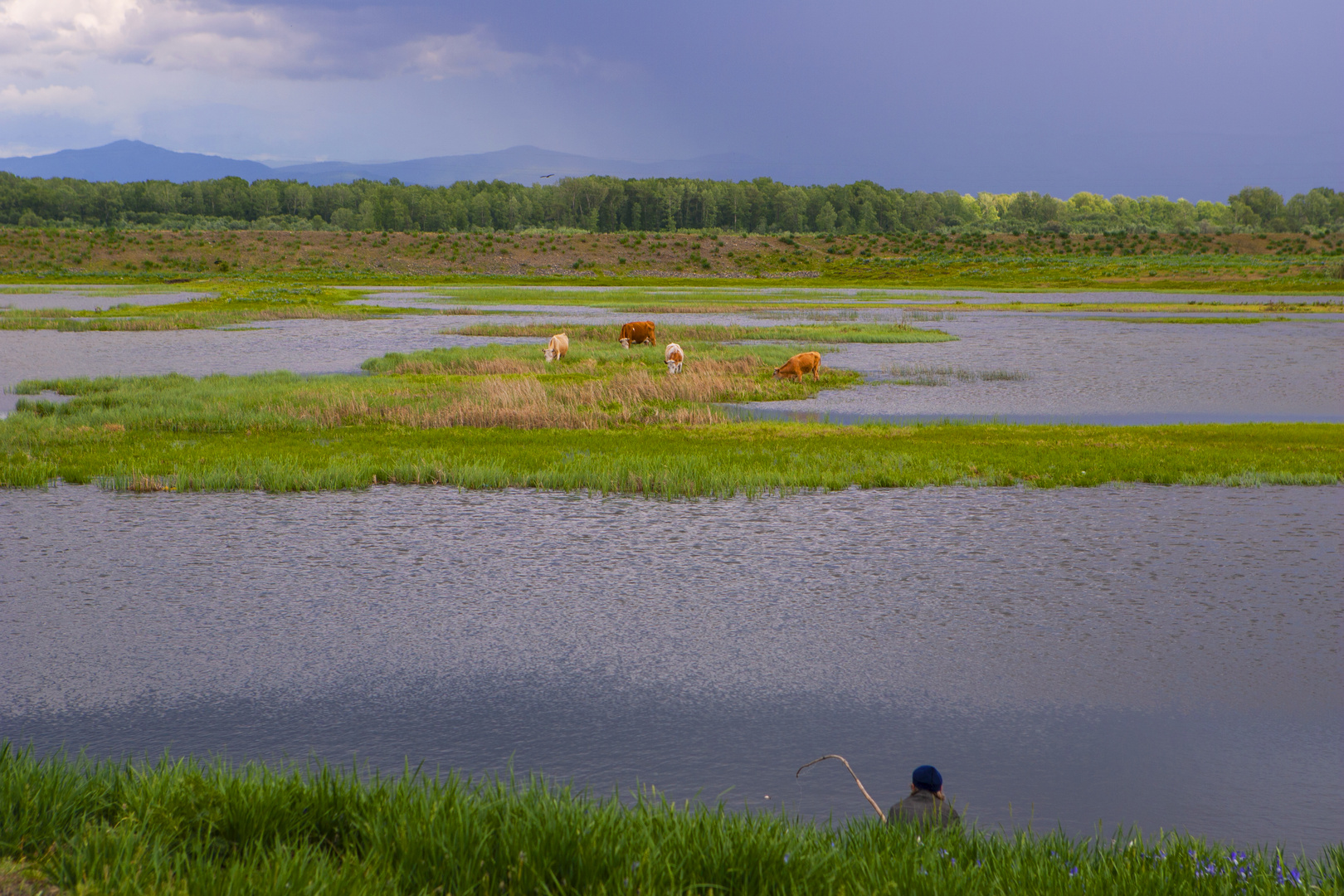 Angler in der Steppe