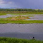 Angler in der Steppe