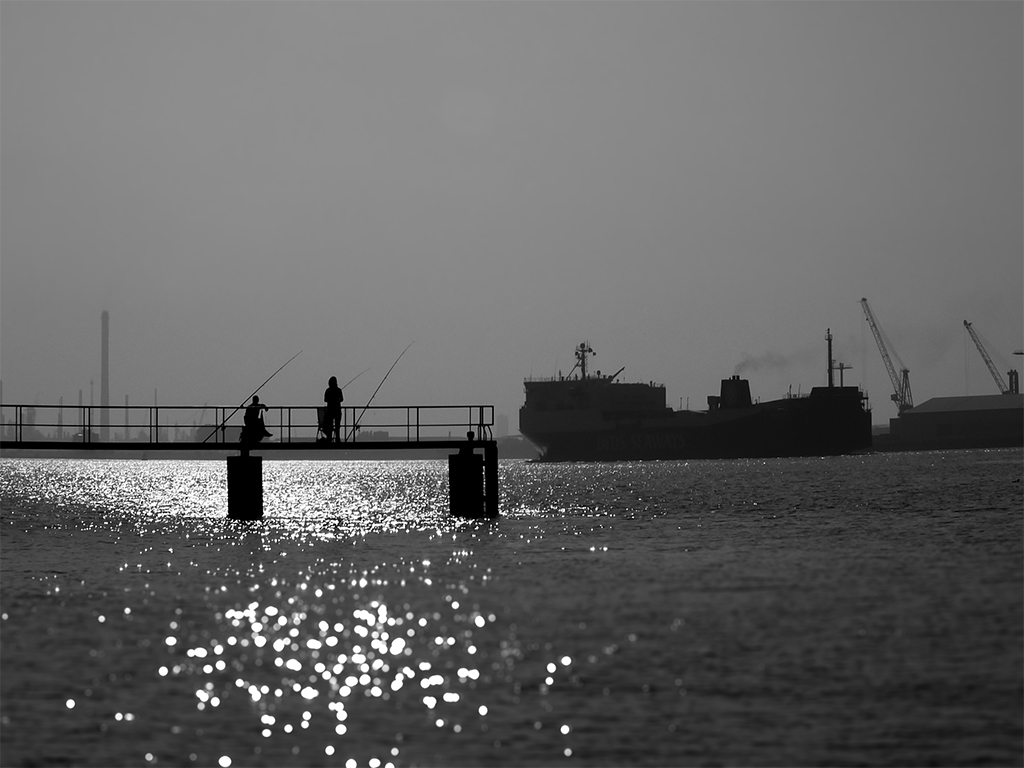 Angler in Rotterdam