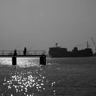 Angler in Rotterdam