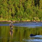 Angler in Schweden