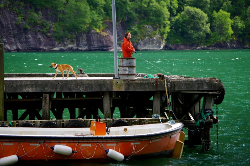 Angler mit Hund