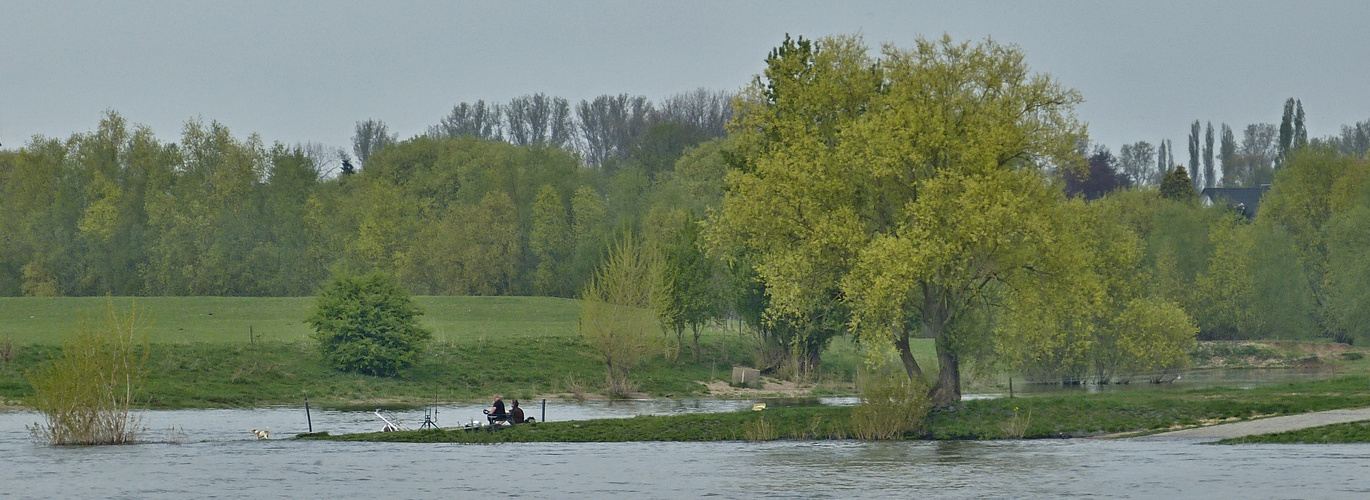 Angler mit Hund am Rhein