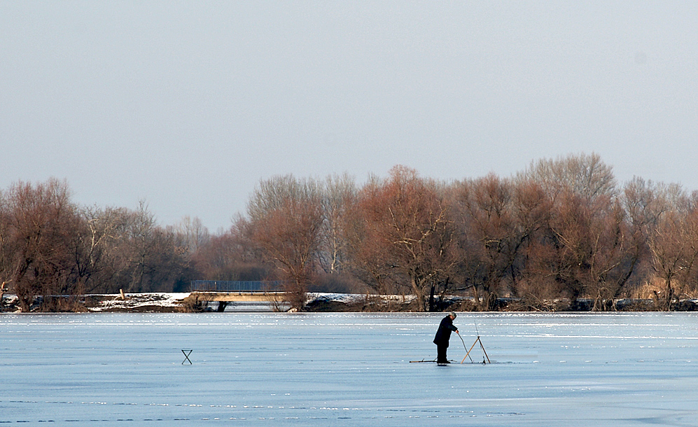 Angler on Ice
