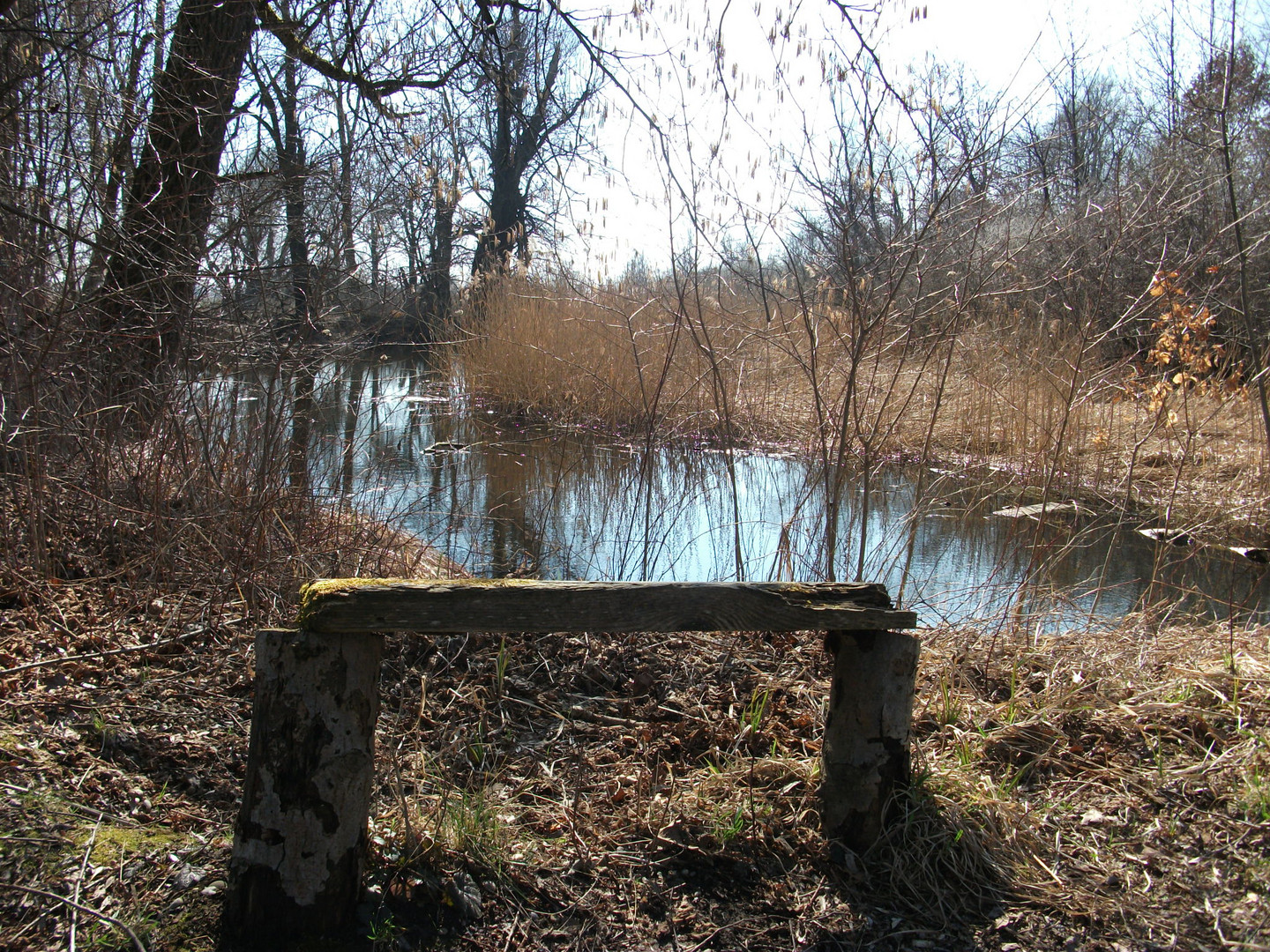 "Anglers-Sonnenplätzchen" Heute an der Amper