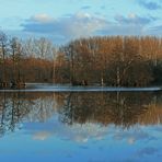 Anglersee