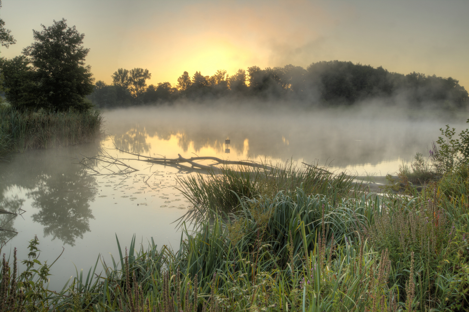 Anglersee im Morgennebel