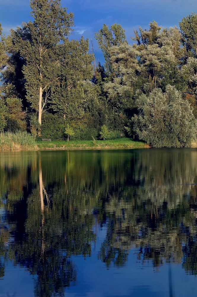 Anglersee in Ketsch