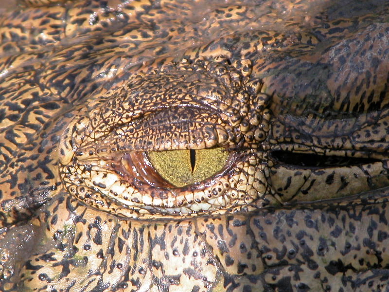 Angola- Catumbela