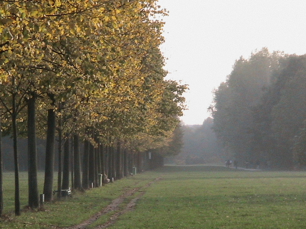 Angolo della Metropoli Autunnale