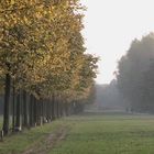 Angolo della Metropoli Autunnale