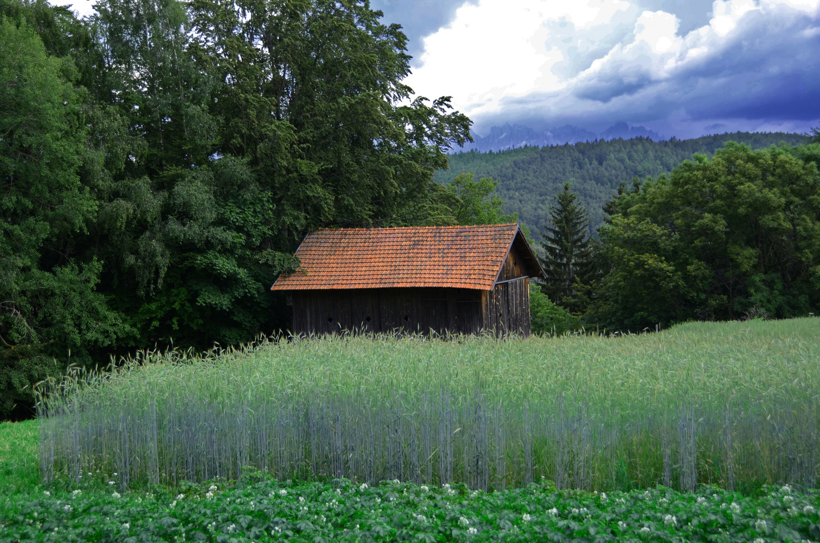 angolo di paradiso