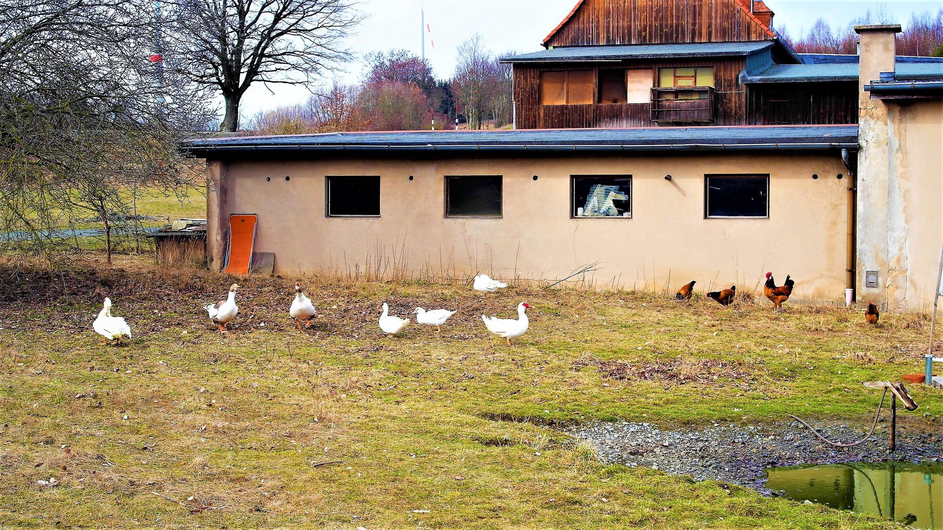 "Angriff" auf den Fotografen - aber friedliches Zusammenleben