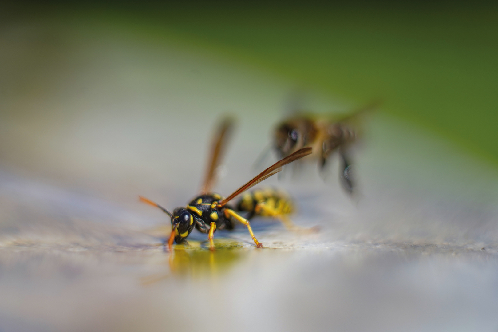 Angriff Foto & Bild art, spezial, outdoor Bilder auf