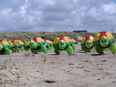 Angriff der Fanø Strandschildkröten