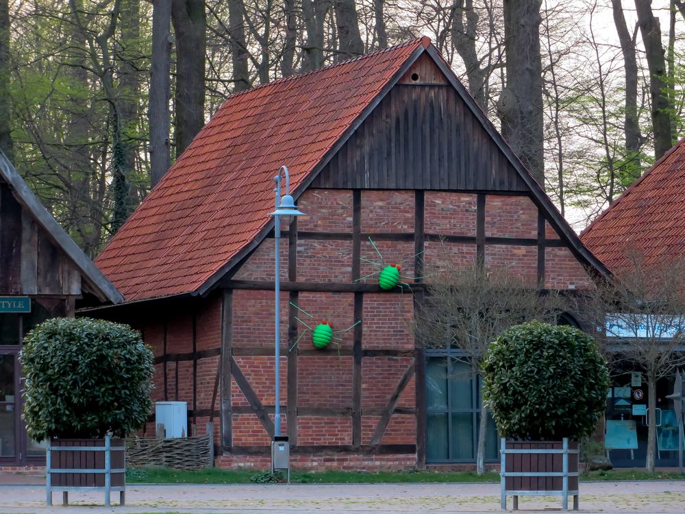 Angriff der grünen Krabbelviecher..? Scheunenviertel in Steinhude am Meer