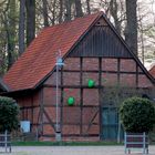 Angriff der grünen Krabbelviecher..? Scheunenviertel in Steinhude am Meer