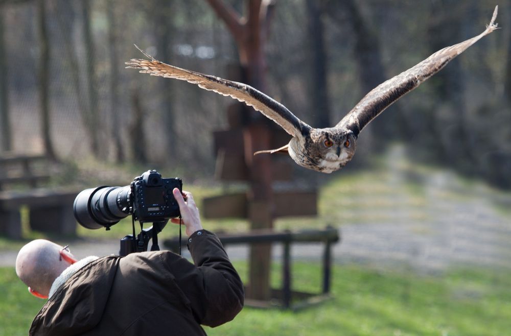 Angriff - Ich hasse Fotografen by GS Gerd Stier 