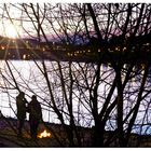 angrillen.... abendlicher Rheinblick in Basel mit Durchblick