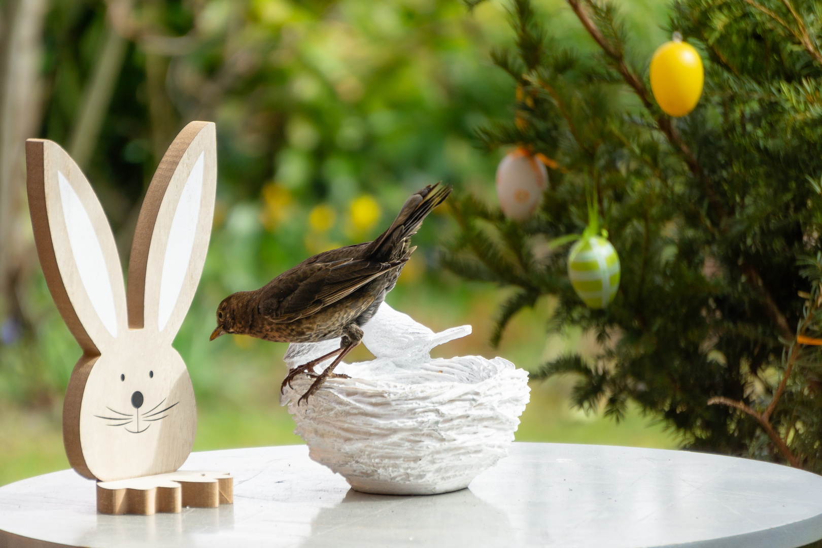 Angsthase, Pfeffernase, morgen kommt der Osterhase