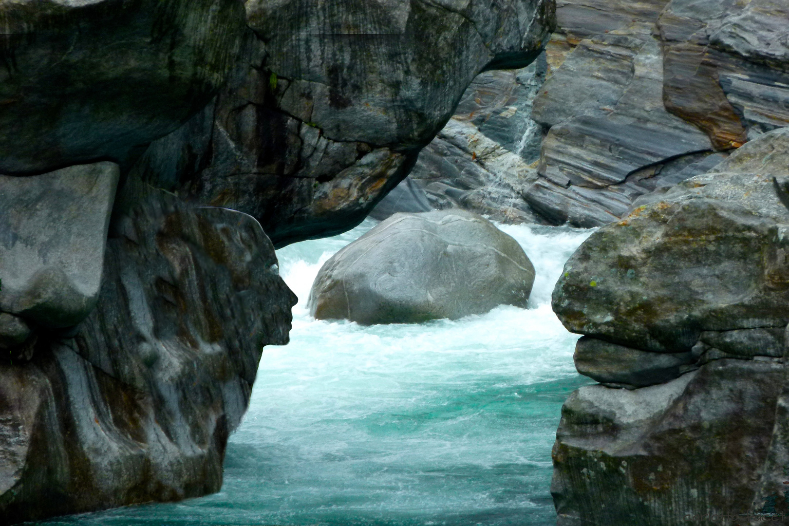 Anguana di Verzasca