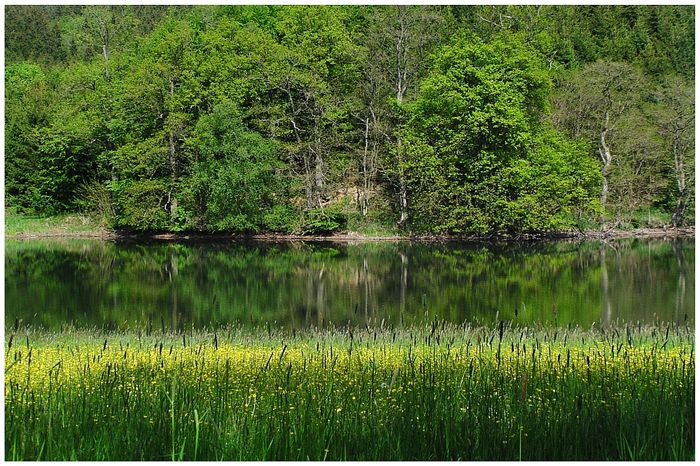 Anhauser Tal ( Landkreis Augsburg ) im Mai