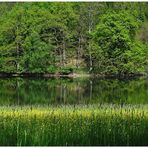 Anhauser Tal ( Landkreis Augsburg ) im Mai