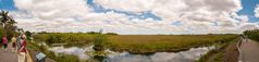 Anhinga Trail