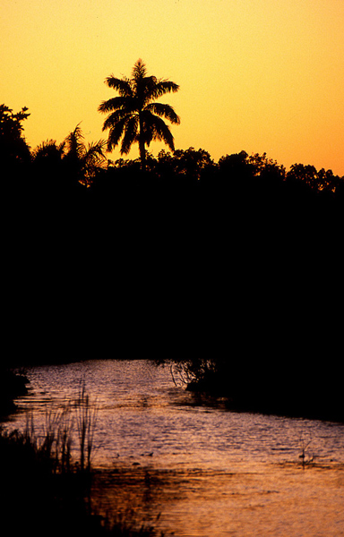 Anhinga Trail Sundown von Ti Jean