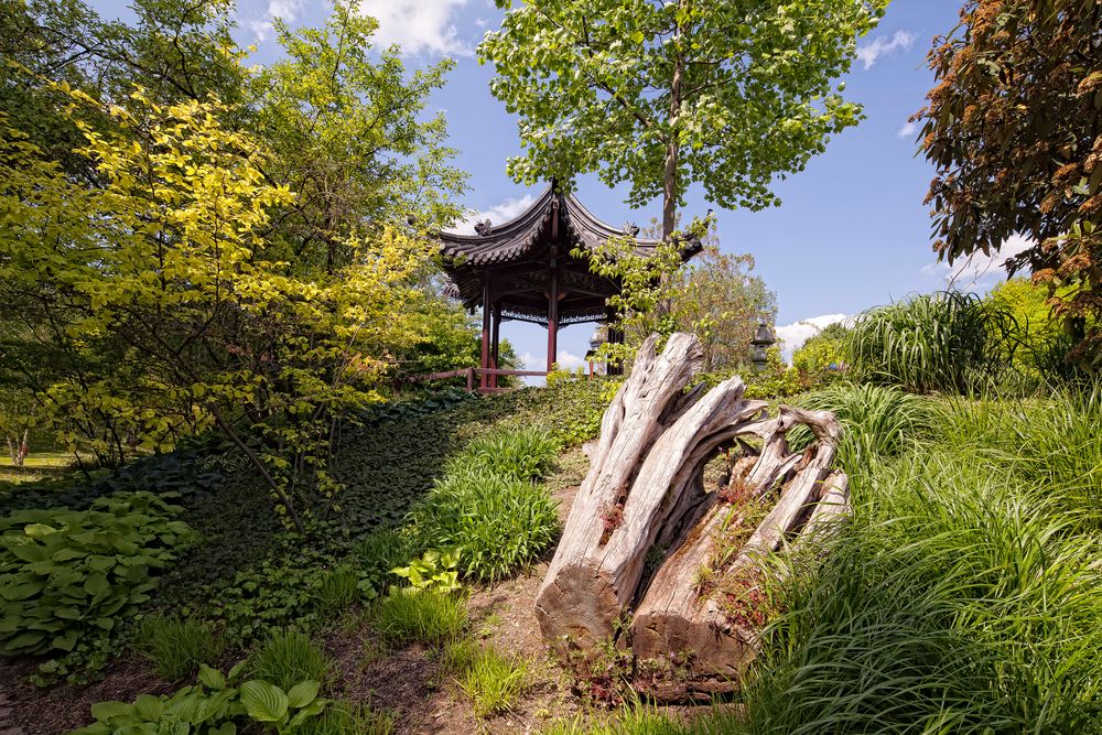 "Anhöhe" im Chinesischer Garten