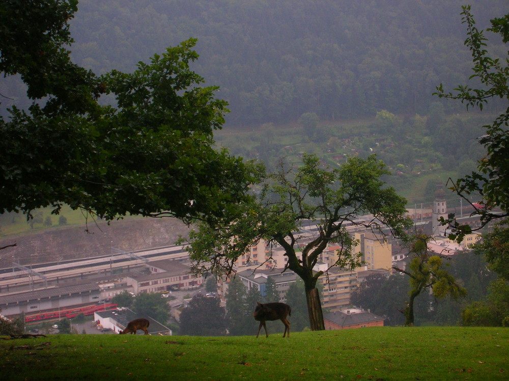 Anhöhe von Feldkirch