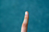 Anias Finger  20518