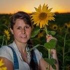 Anika Sunset - Sunflower - Blue Hour