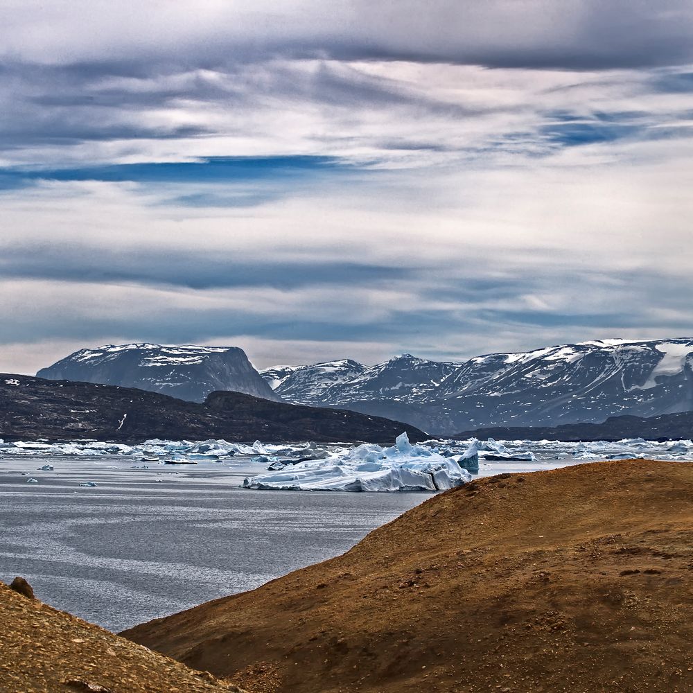 anima coloris *arctic.farben* Ausschnitt