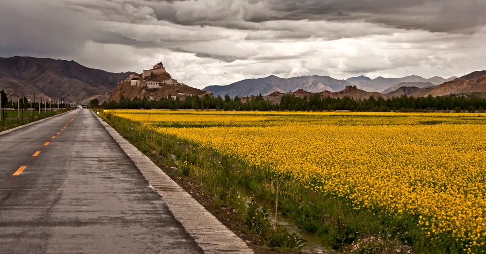 *anima historiae* Gyantse - Tibet