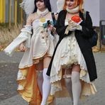 AniMaCo (02)