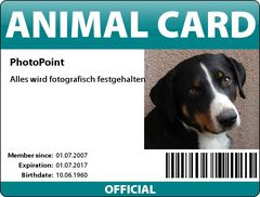 ANIMAL CARD