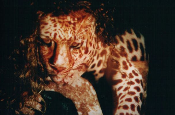 ANIMAL der zweite versuch