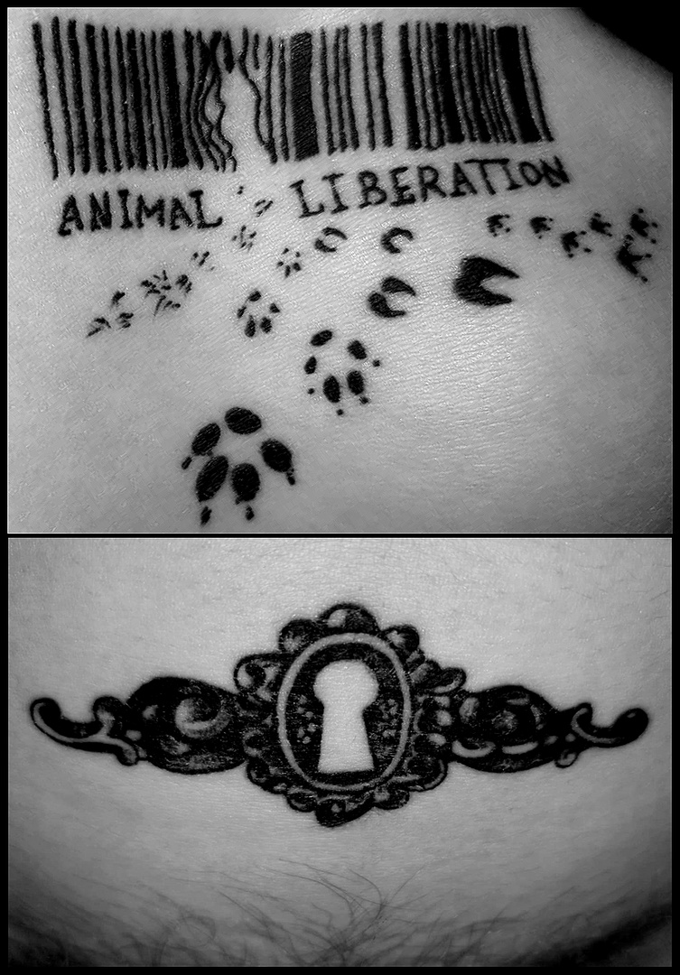 animal liberation