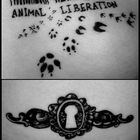 animal liberation